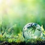 Snaga iz prirode – biljni saveznici našeg zdravlja