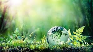 Snaga iz prirode – biljni saveznici našeg zdravlja